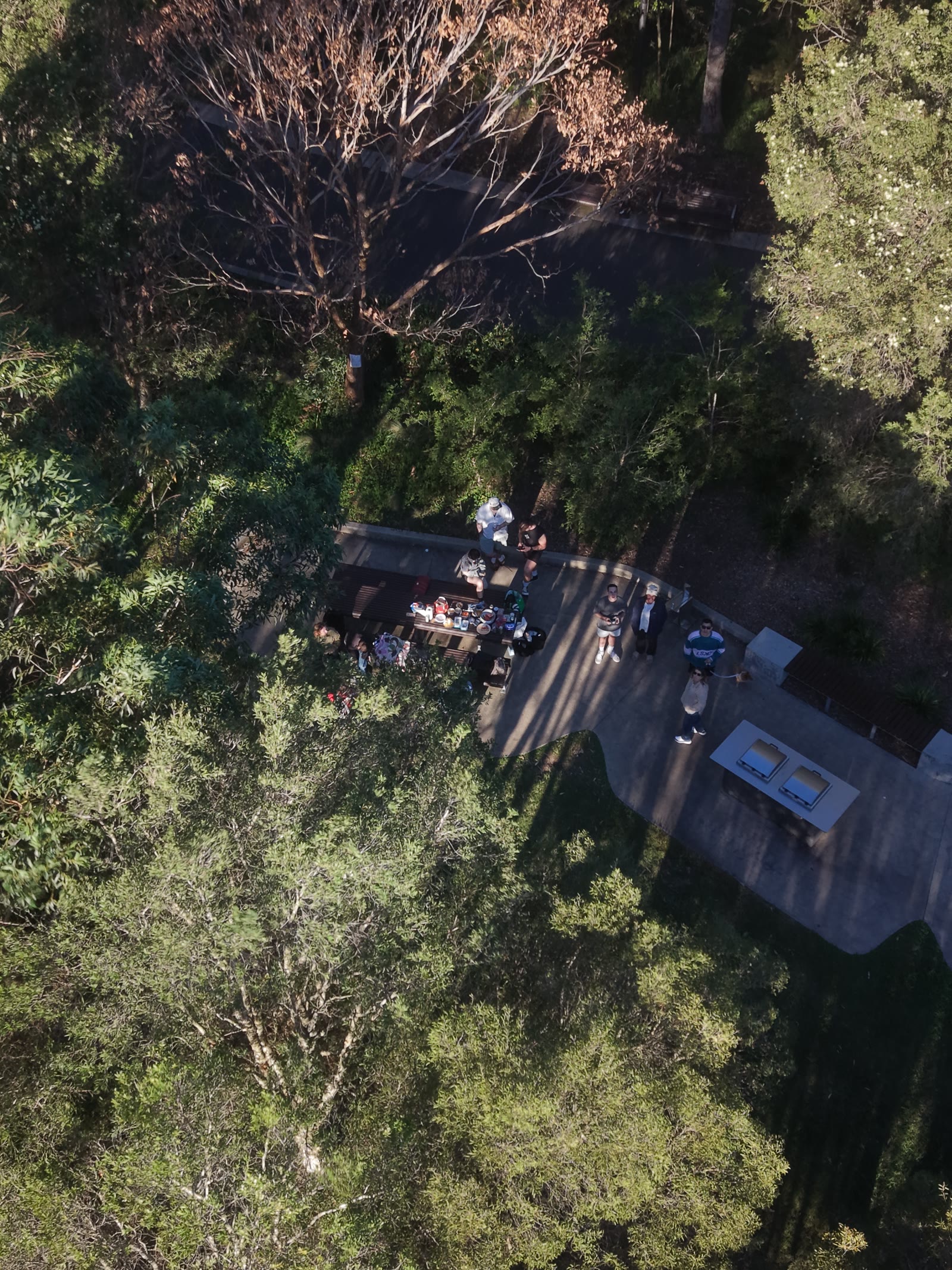 Straight-down view of a bush picnic area, people gathered around barbecue tables between the trees